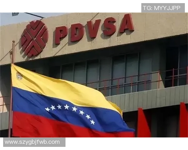 俄罗斯与委内瑞拉的多维度对比分析及未来发展趋势探讨