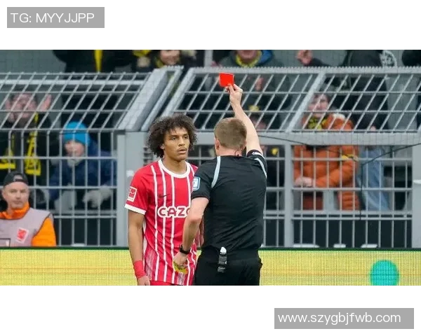 多特蒙德与弗赖堡的激烈对决回顾及精彩瞬间分析 多特蒙德与弗赖堡的激烈对决回顾及精彩瞬间分析