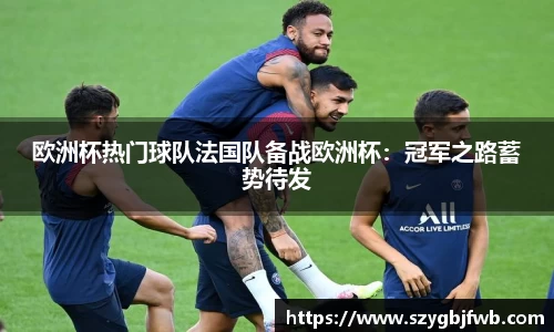 欧洲杯热门球队法国队备战欧洲杯：冠军之路蓄势待发