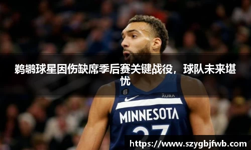 鹈鹕球星因伤缺席季后赛关键战役，球队未来堪忧