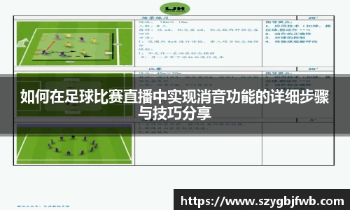 如何在足球比赛直播中实现消音功能的详细步骤与技巧分享