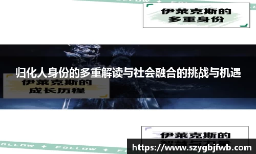 归化人身份的多重解读与社会融合的挑战与机遇